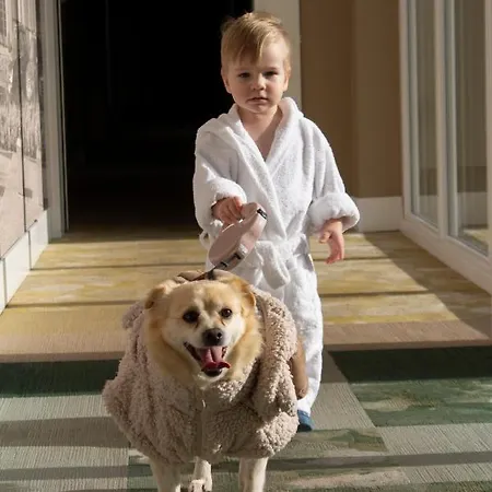 & Trzy Wyspy 호텔 슈비노우이스쳬