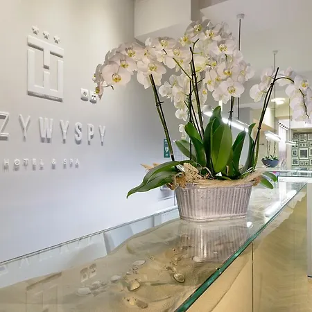 호텔 & Trzy Wyspy 슈비노우이스쳬